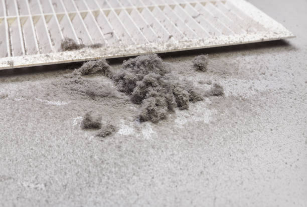 Best Air Duct Cleaning Near Me  in Lynden, WA
