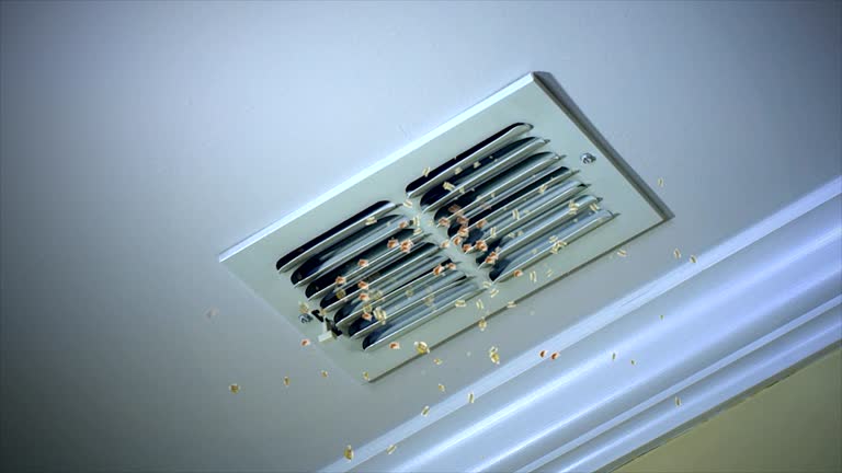 Best Home Air Vent Cleaning  in Lynden, WA