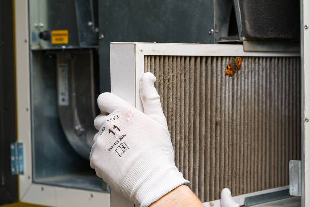 Best Duct Cleaning for Offices  in Lynden, WA