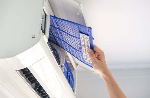 Air Duct Mold Removal in Lynden, WA